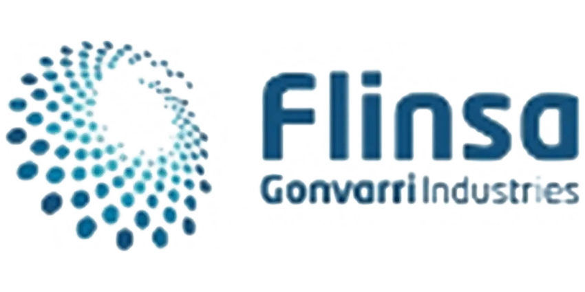 Logo de Flinsa